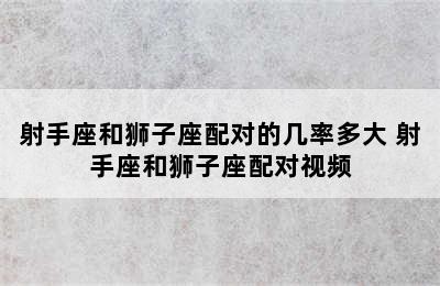 射手座和狮子座配对的几率多大 射手座和狮子座配对视频